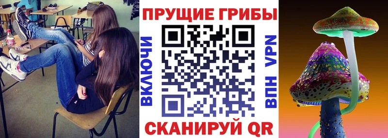 Галлюциногенные грибы Magic Shrooms  Свободный 